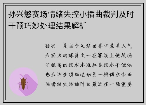 孙兴慜赛场情绪失控小插曲裁判及时干预巧妙处理结果解析