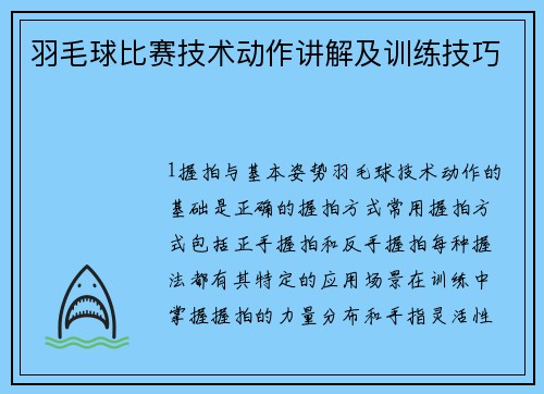 羽毛球比赛技术动作讲解及训练技巧